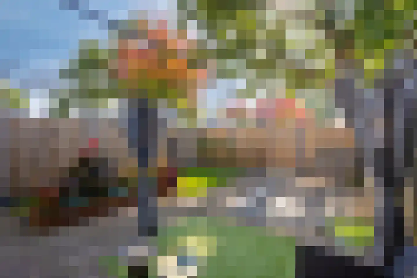 Wachtendonk 702 Uden thumbnail 28