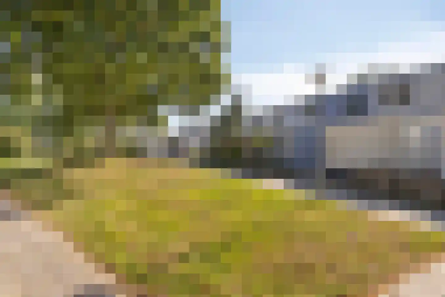 Wachtendonk 702 Uden thumbnail 33
