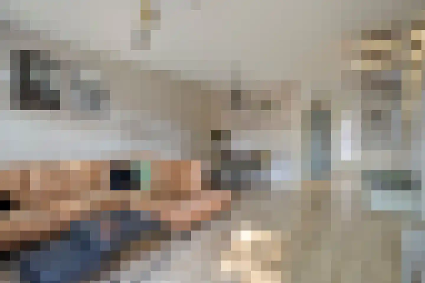 Wachtendonk 702 Uden thumbnail 4