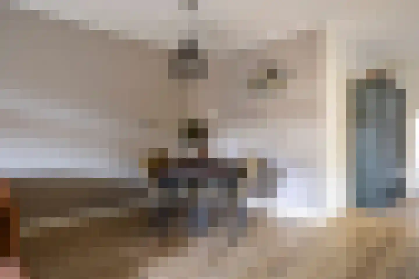 Wachtendonk 702 Uden thumbnail 7