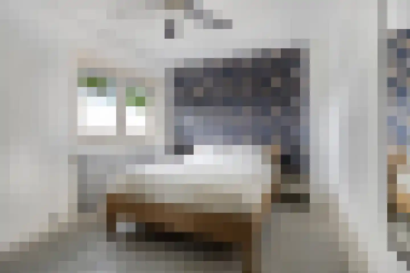 Wachtendonk 802 Uden thumbnail 13