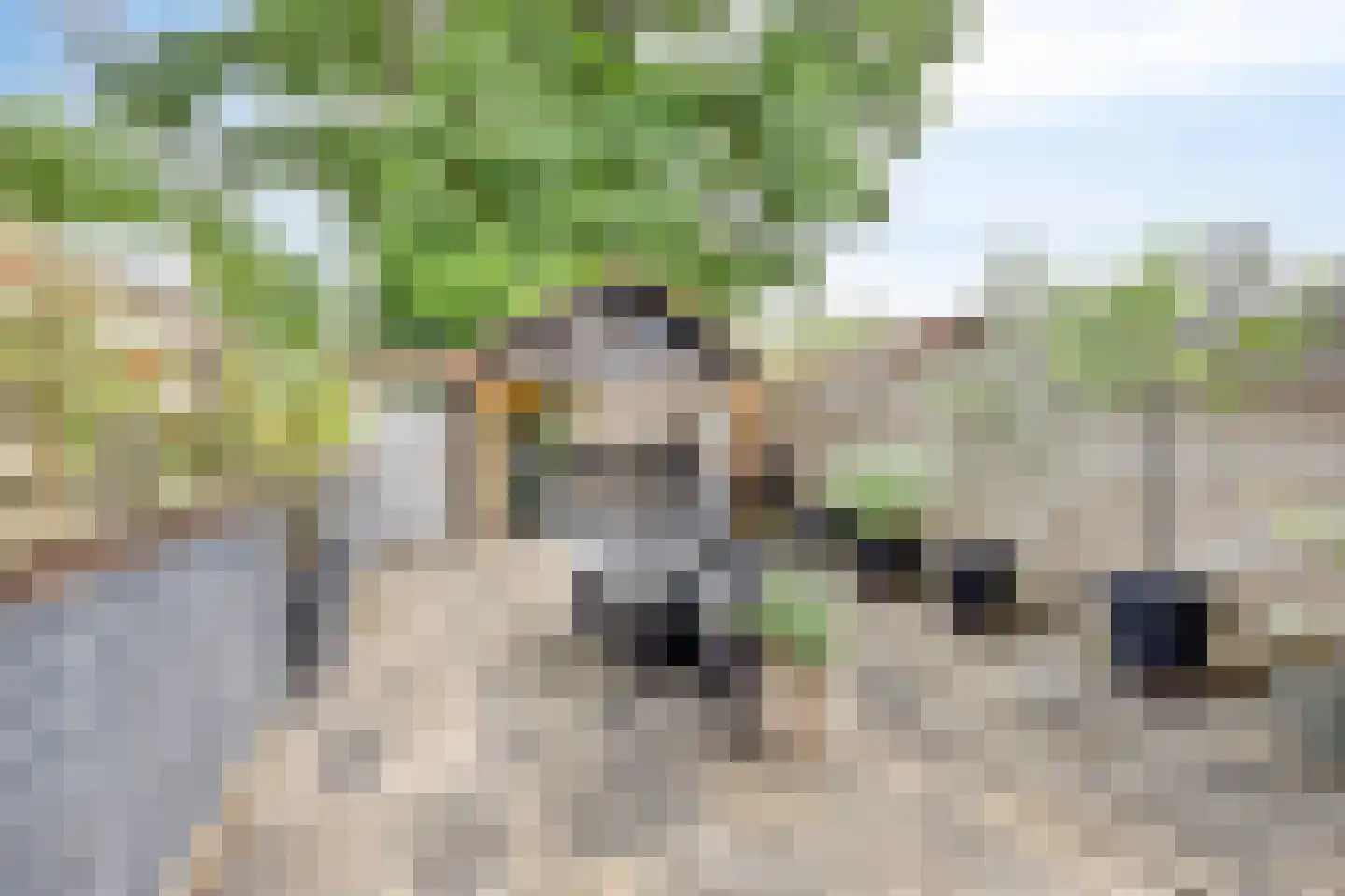 Wachtendonk 802 Uden thumbnail 17