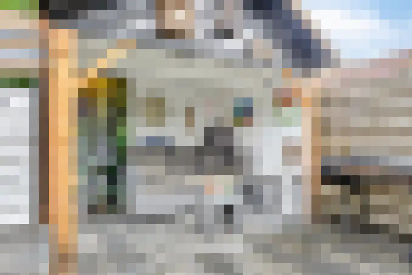 Wachtendonk 802 Uden thumbnail 18
