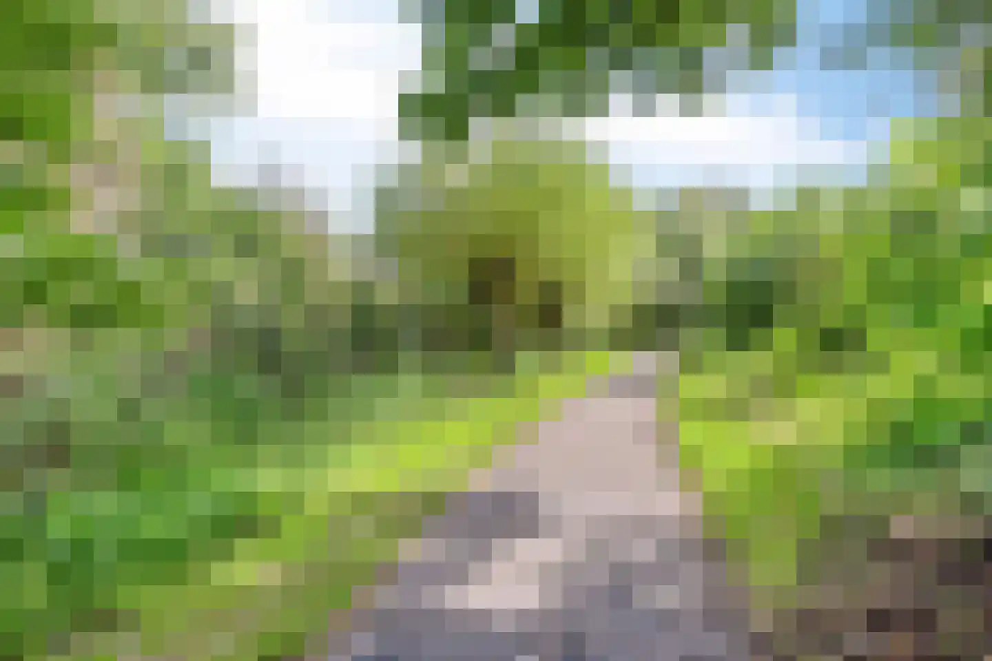 Wachtendonk 802 Uden thumbnail 19