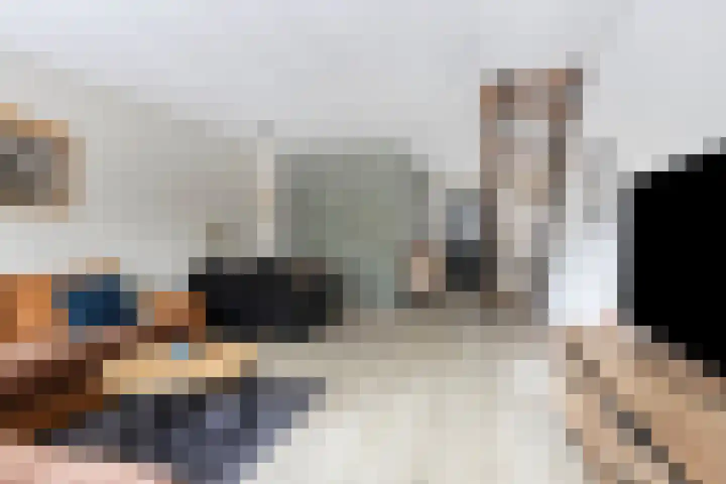Wachtendonk 802 Uden thumbnail 7
