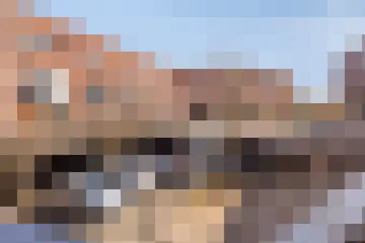 Wachterslaan 181 Nijmegen thumbnail 37