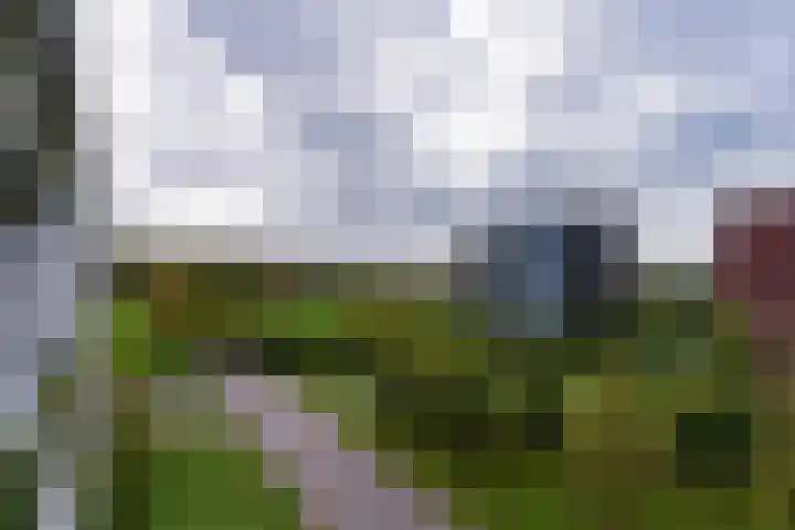 Wachterslaan 79 Nijmegen thumbnail 19
