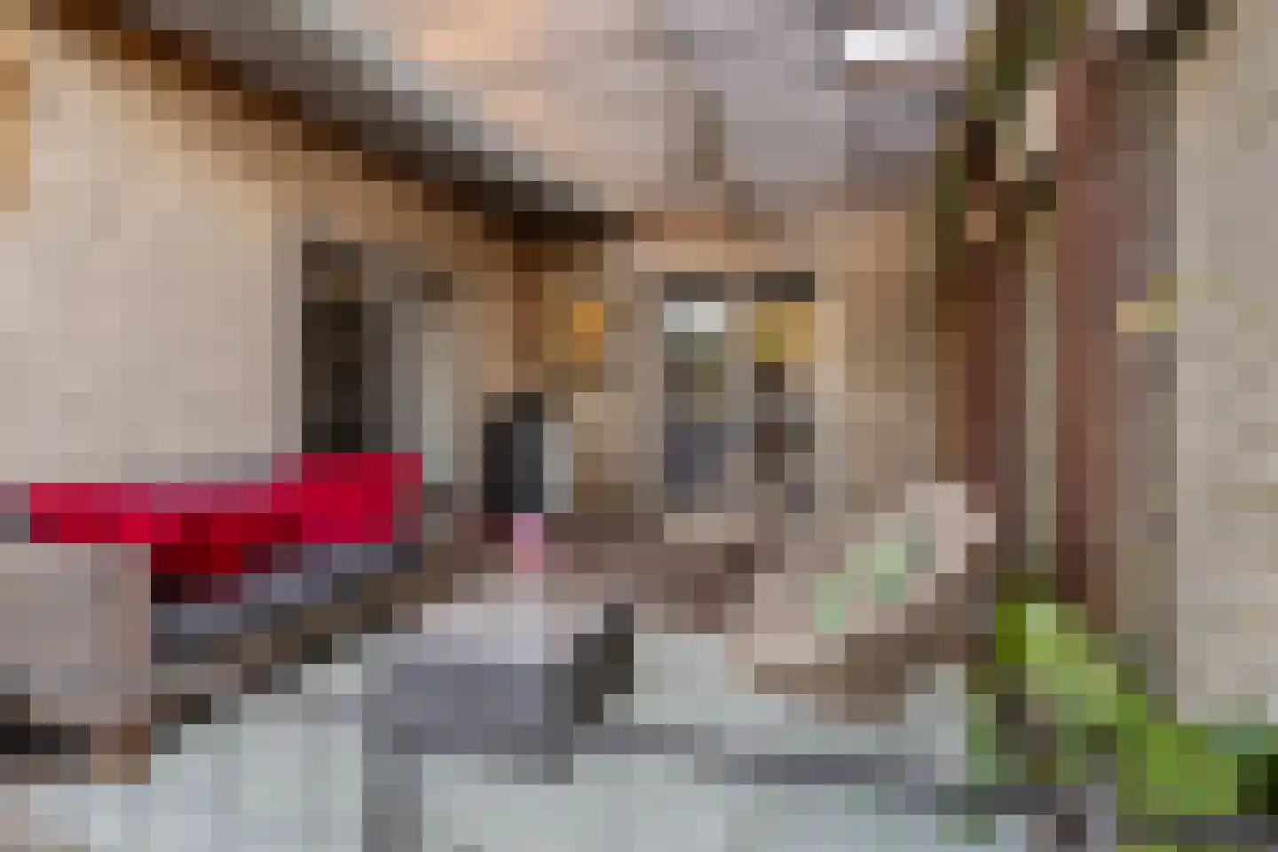 Wachthoevestraat 28 Hekelingen thumbnail 46