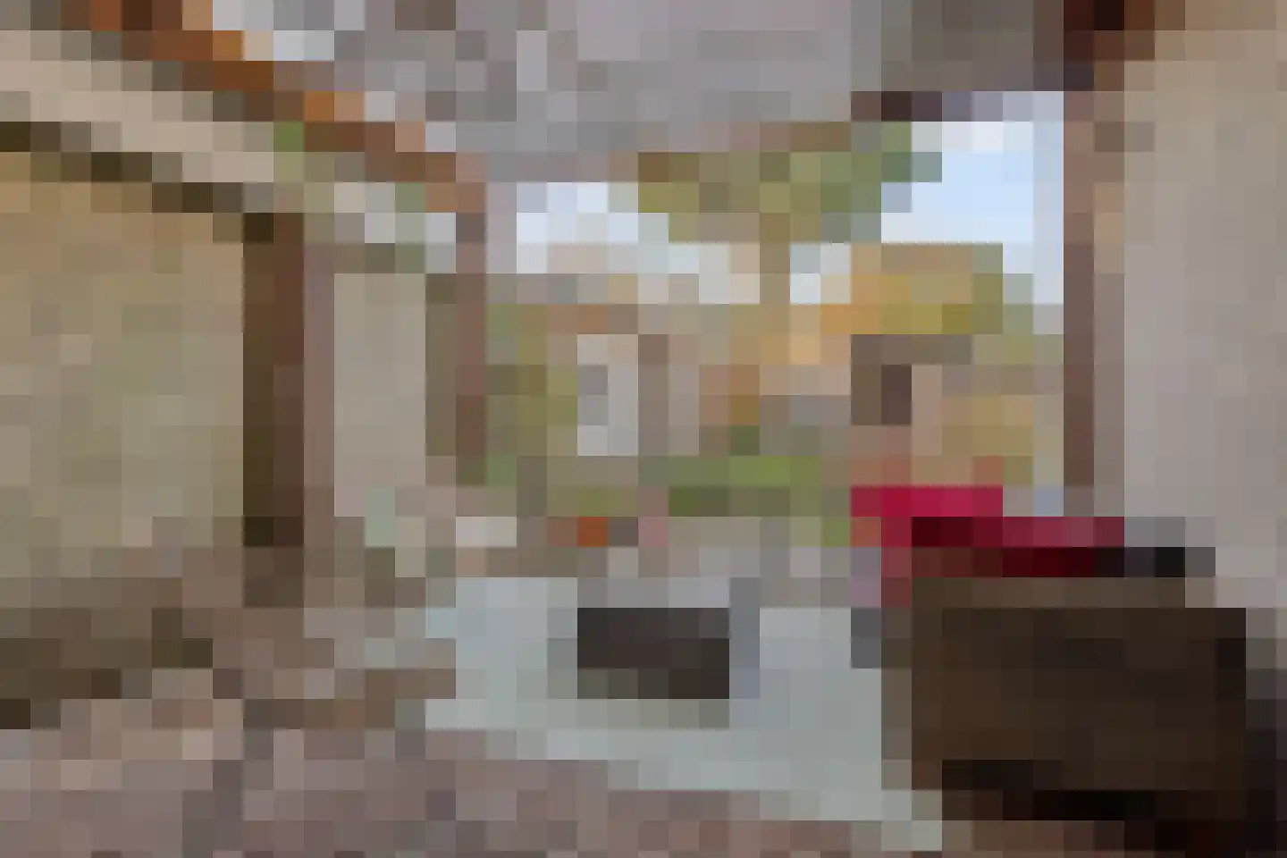 Wachthoevestraat 28 Hekelingen thumbnail 47