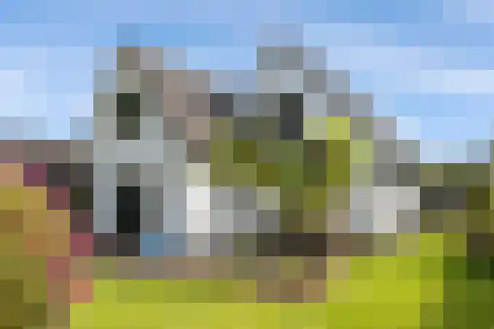 Wachthoorn 17 Aalden thumbnail 23