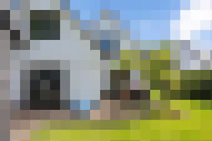 Wachthoorn 17 Aalden thumbnail 24