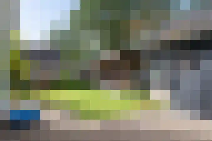 Wachthoorn 17 Aalden thumbnail 27