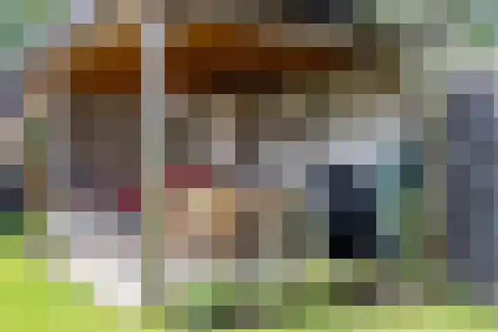 Wachthoorn 17 Aalden thumbnail 29