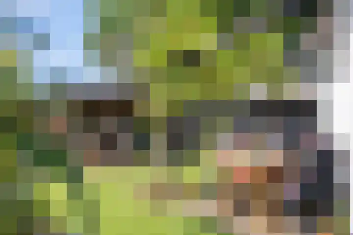 Wachthoorn 17 Aalden thumbnail 5