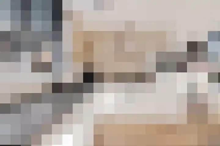 Wachthoorn 31 Aalden thumbnail 20