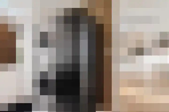 Wachthoorn 31 Aalden thumbnail 22
