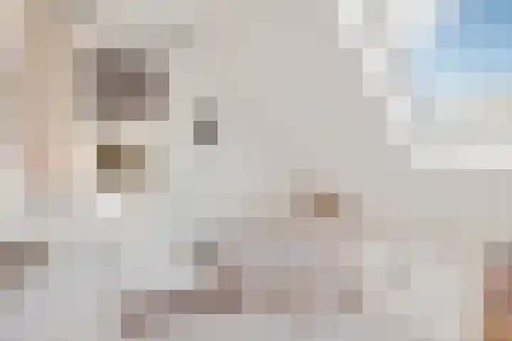 Wachthoorn 31 Aalden thumbnail 33
