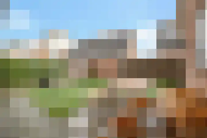 Wachthoorn 31 Aalden thumbnail 38
