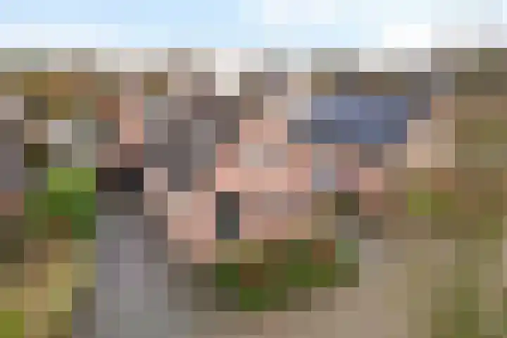 Wachthoorn 31 Aalden thumbnail 4