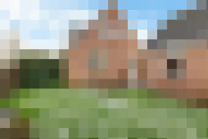 Wachthoorn 31 Aalden thumbnail 40