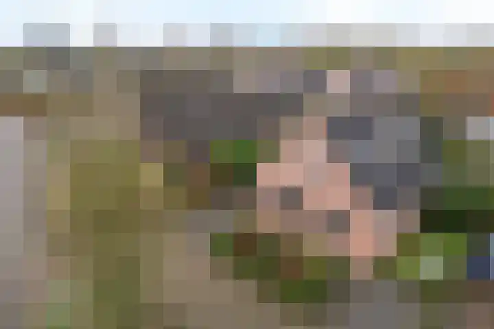 Wachthoorn 31 Aalden thumbnail 41