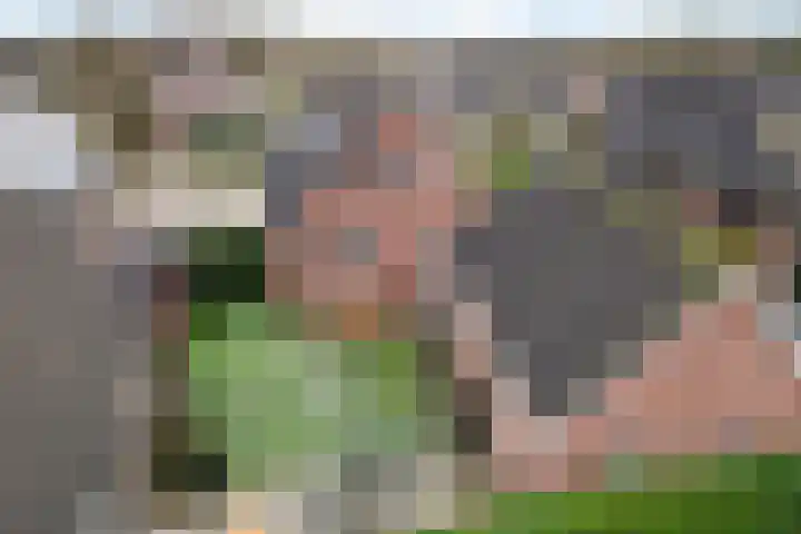 Wachthoorn 31 Aalden thumbnail 42