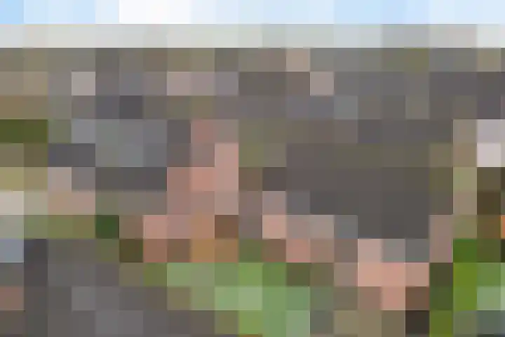 Wachthoorn 31 Aalden thumbnail 5