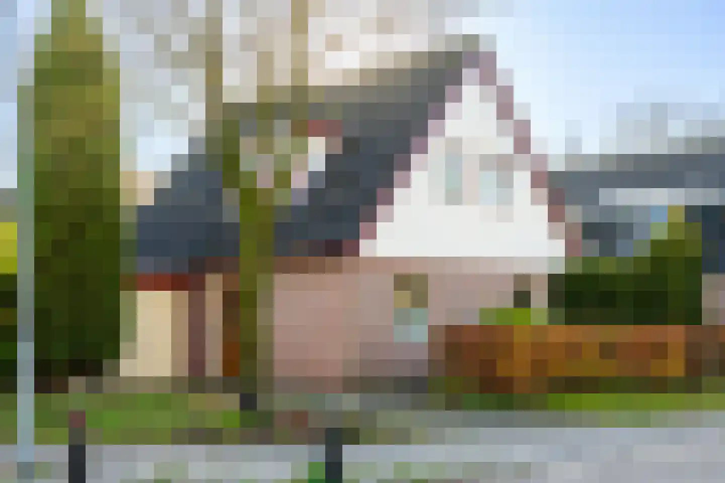 Wachthoorn 4 Aalden thumbnail 13