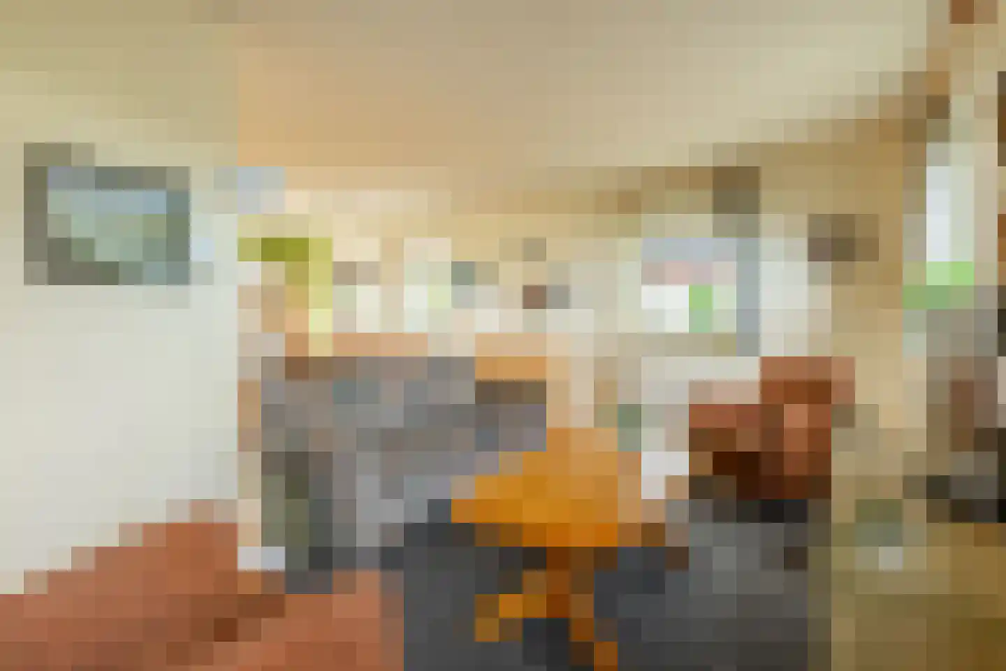 Wachthoorn 4 Aalden thumbnail 17