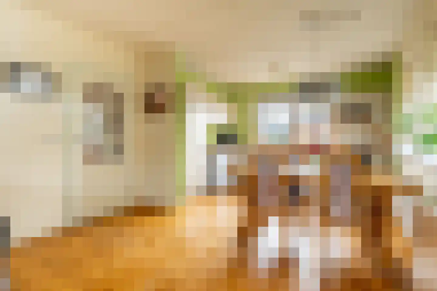 Wachthoorn 4 Aalden thumbnail 19