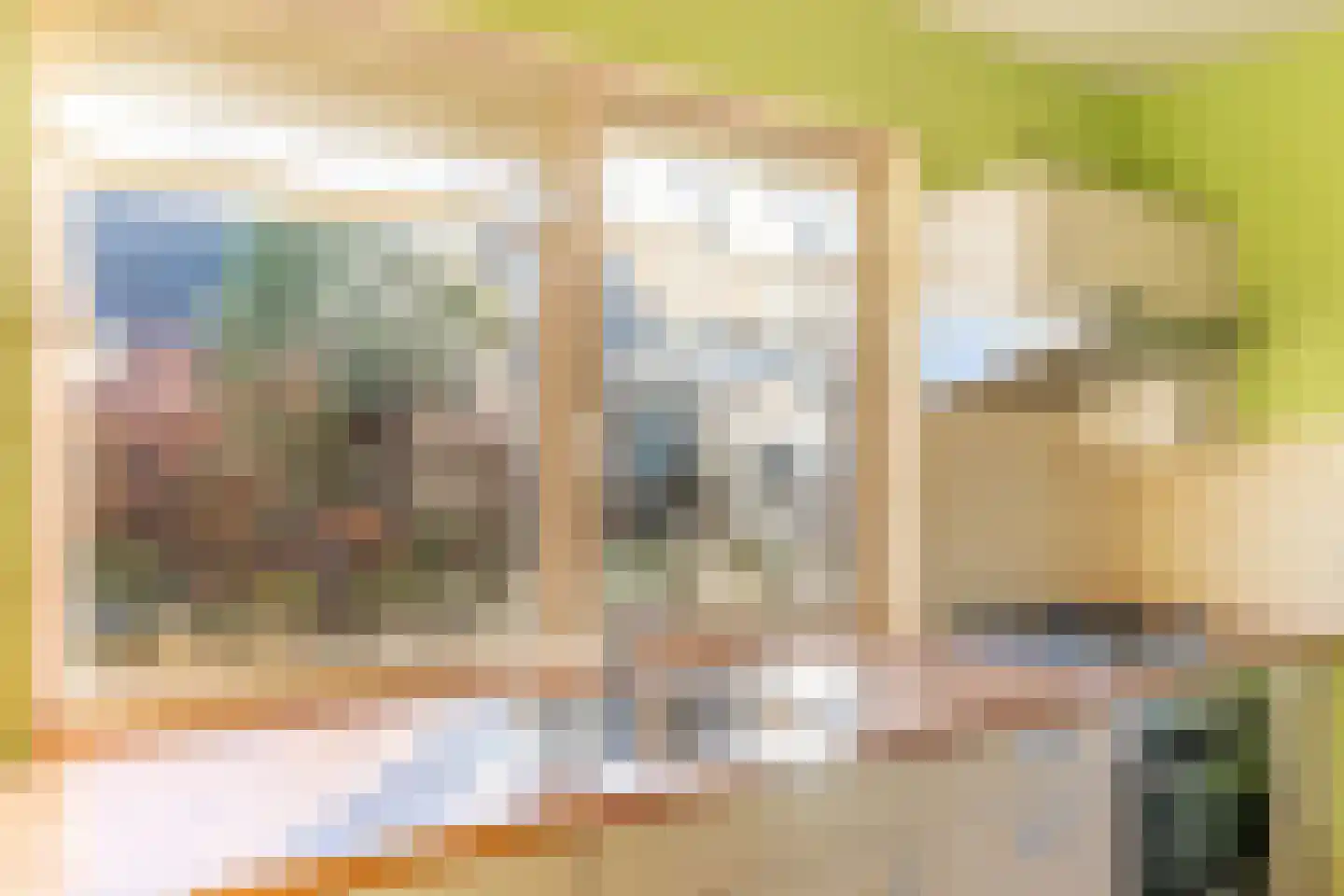 Wachthoorn 4 Aalden thumbnail 23