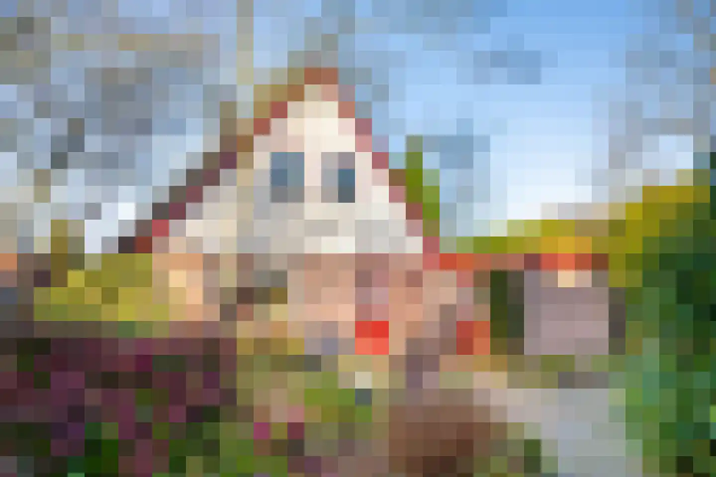 Wachthoorn 4 Aalden thumbnail 32