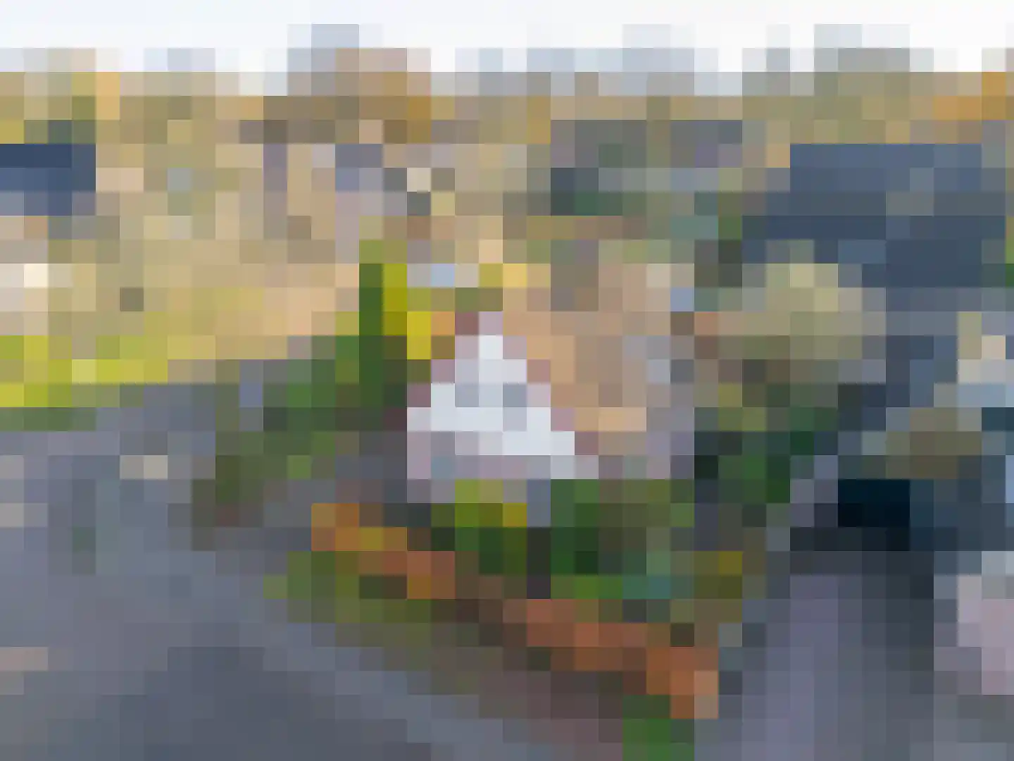Wachthoorn 4 Aalden thumbnail 36