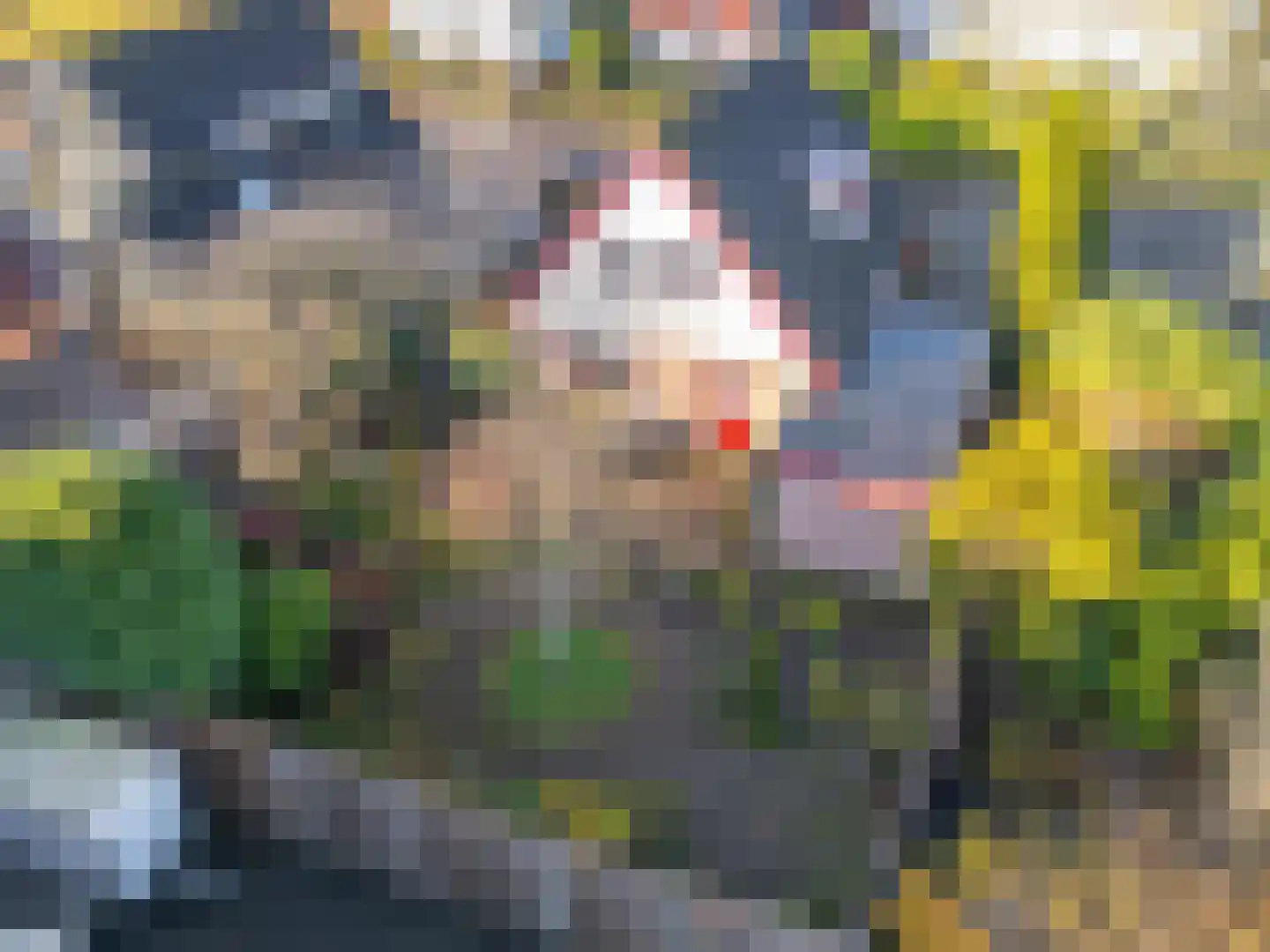 Wachthoorn 4 Aalden thumbnail 39