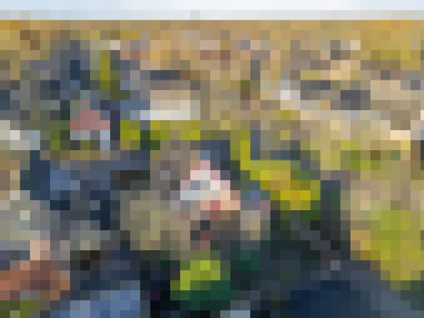 Wachthoorn 4 Aalden thumbnail 42