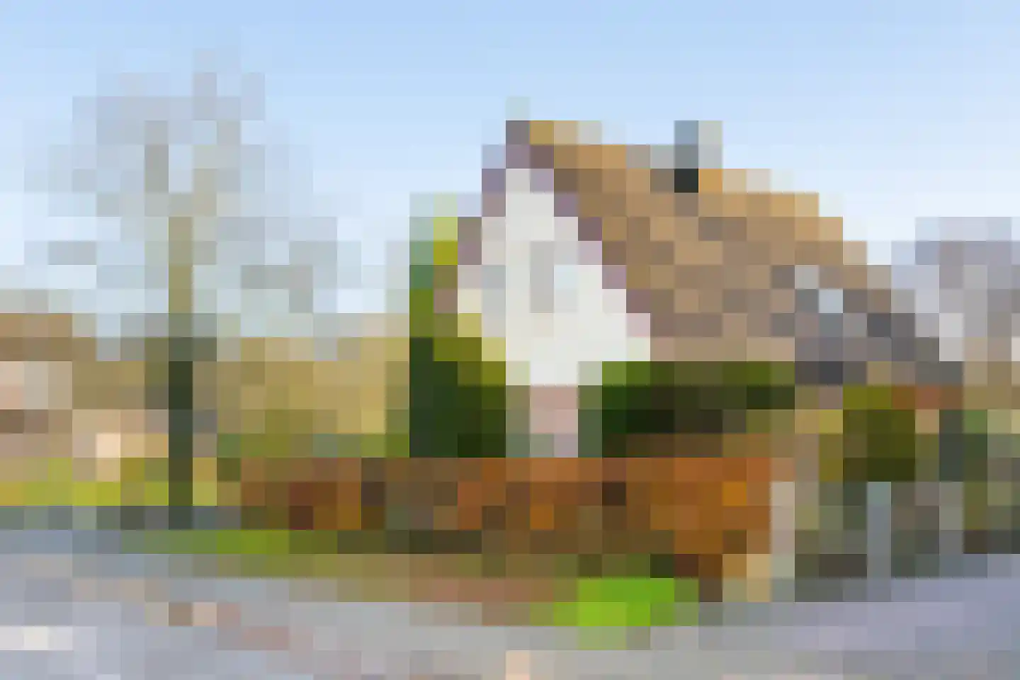 Wachthoorn 4 Aalden thumbnail 8