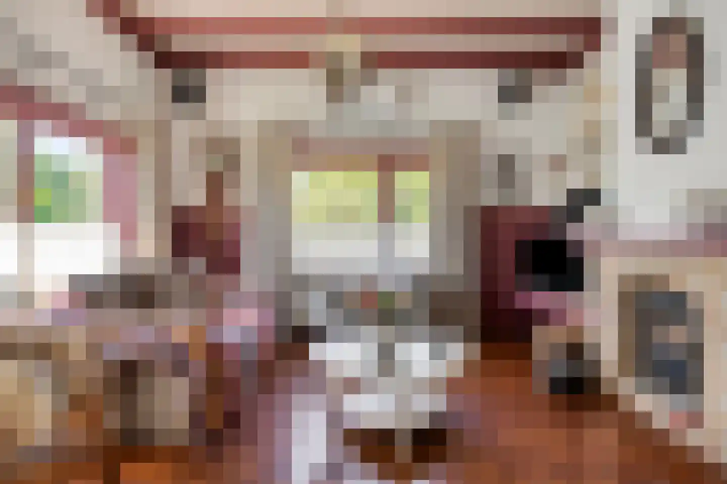 Wachtpostdijk 3 Goor thumbnail 15