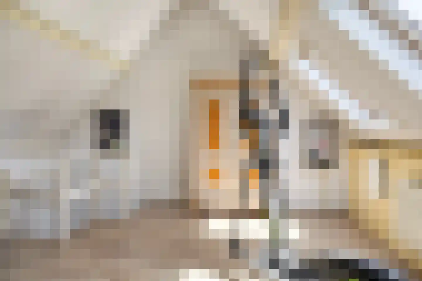 Wachtpostdijk 3 Goor thumbnail 22