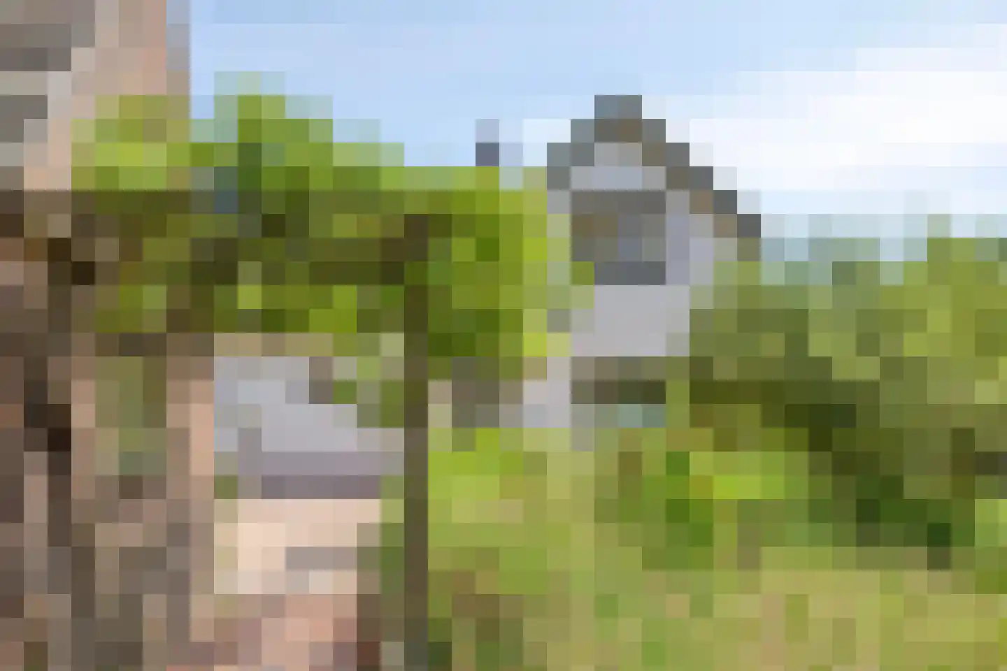 Wachtpostdijk 3 Goor thumbnail 29