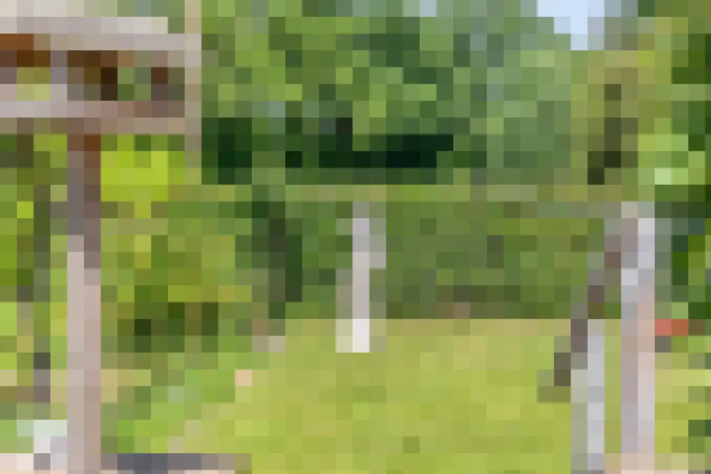 Wachtpostdijk 3 Goor thumbnail 32