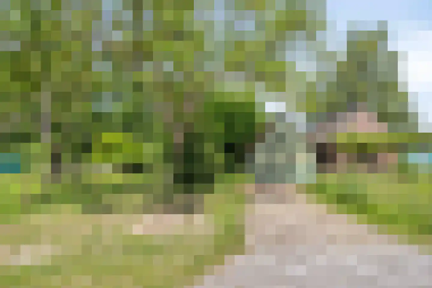Wachtpostdijk 3 Goor thumbnail 35