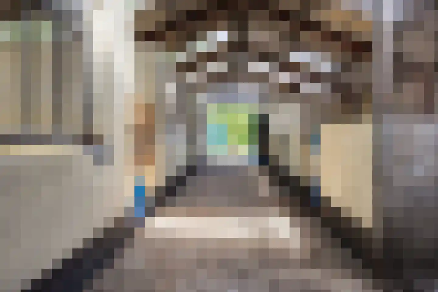Wachtpostdijk 3 Goor thumbnail 42