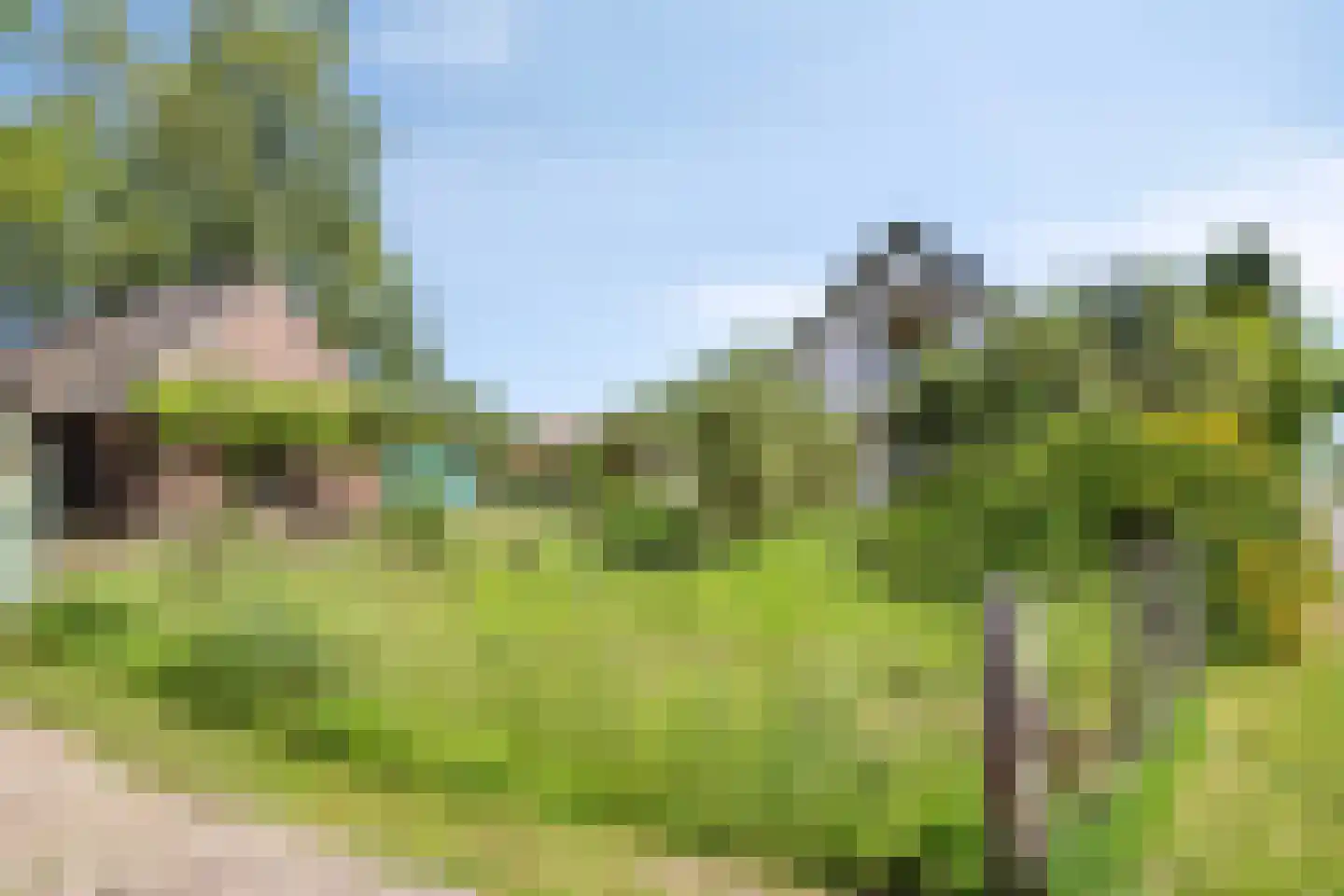 Wachtpostdijk 3 Goor thumbnail 46