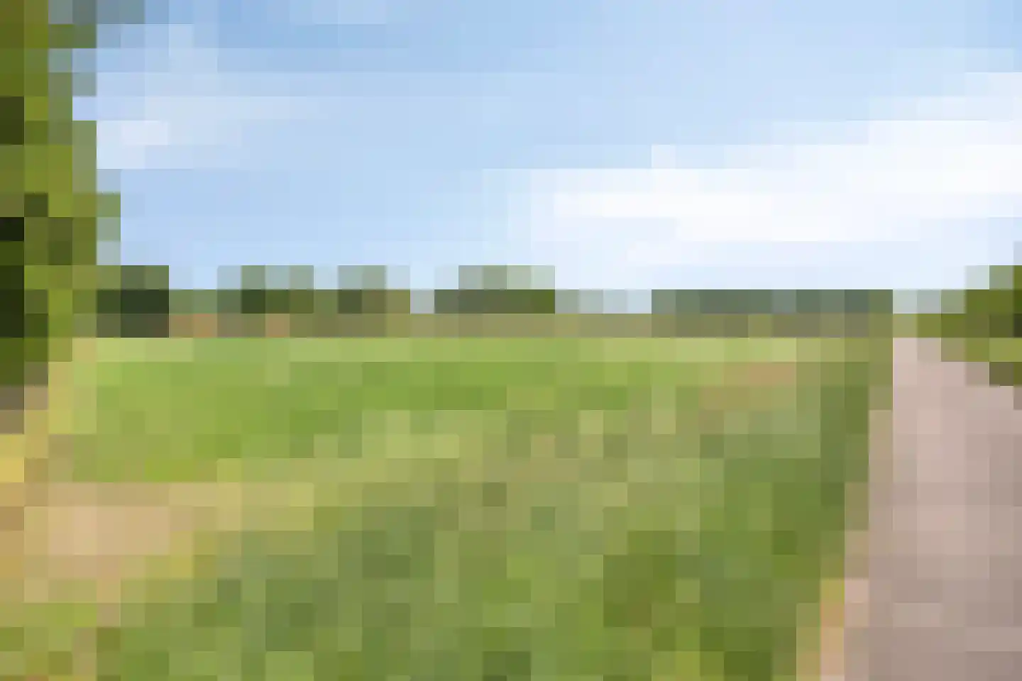 Wachtpostdijk 3 Goor thumbnail 48