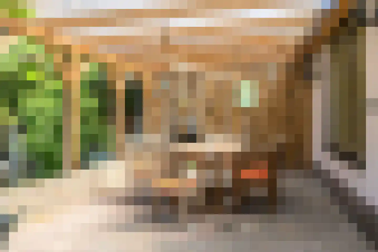 Wachtpostdijk 3 Goor thumbnail 5