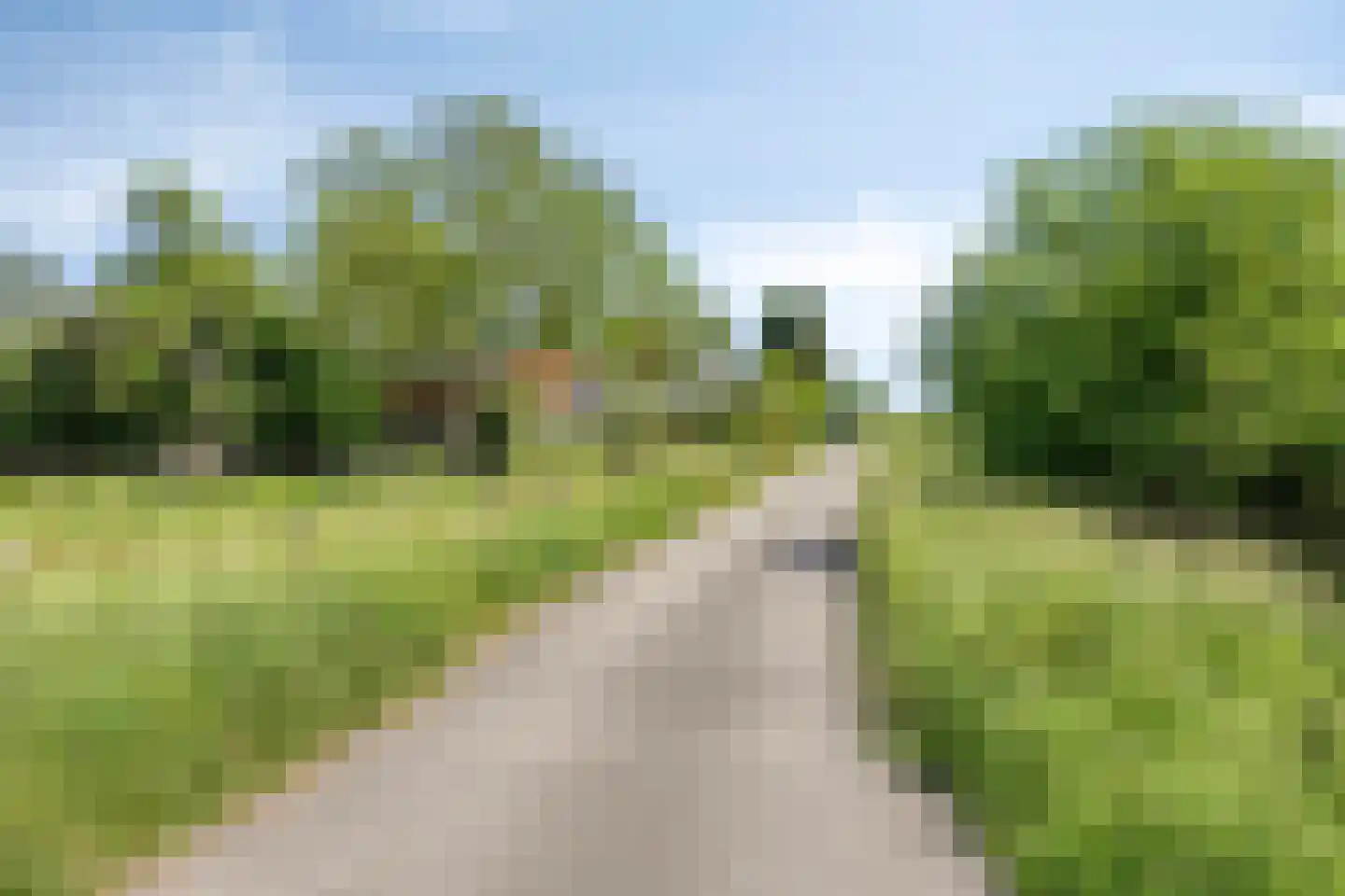 Wachtpostdijk 3 Goor thumbnail 7