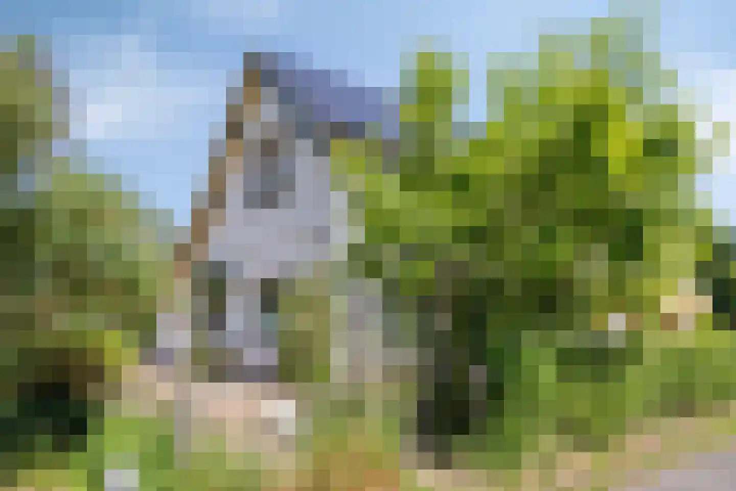 Wachtpostdijk 3 Goor thumbnail 8