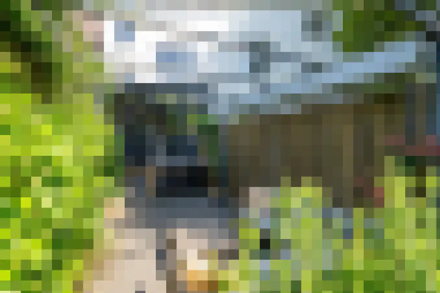Wachtpoststraat 18 Venlo thumbnail 38