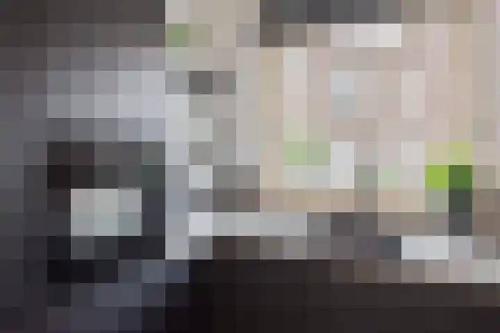 Wachtspoor 10 Assendelft thumbnail 12