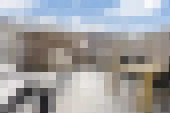 Wachtspoor 10 Assendelft thumbnail 16